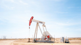 Oil slides, stocks rebound on Trump's Iran remarks