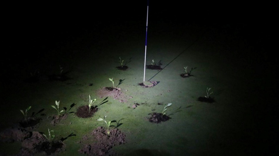 Climate activists block holes on Spanish golf courses over water use