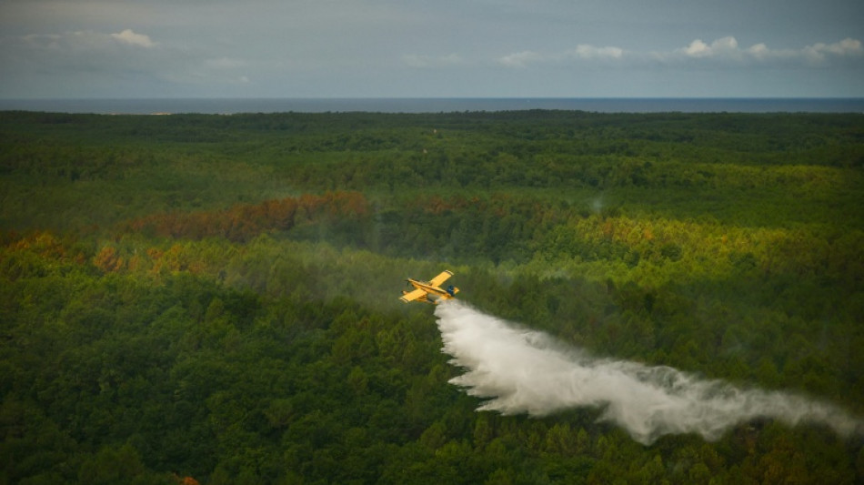 France's largest wildfire in decades 'under control', says minister