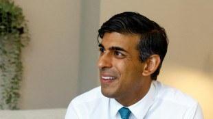 Energies fossiles et voitures: Rishi Sunak appelle &agrave; la mesure dans les politiques vertes