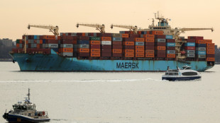 La naviera Maersk anuncia la suspensi&oacute;n temporal de conexiones entre Europa y Oriente Medio y entre Extremo Oriente y Oriente Medio