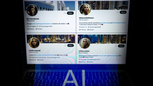Sur Twitter, l'offensive de faux profils de "blondes" pro-climat et pro-&Eacute;mirats 
