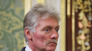Cremlino, 'impossibile un incontro tra Putin e Zelensky al G20'