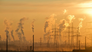 Onu, nuovo record gas serra a 'livelli senza precedenti'