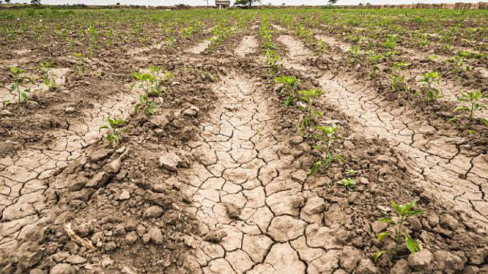 Teha, la crisi idrica in Italia costa 13 miliardi l'anno