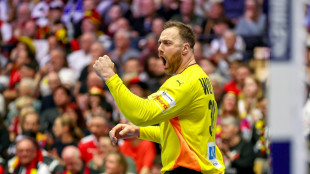 Wolff-Gala gegen &Ouml;sterreich: Handballer legen Traumstart hin