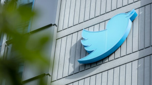 Twitter: apr&egrave;s un faux d&eacute;part, Elon Musk retente un nouvel abonnement payant