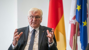 Br&uuml;gge-Rede: Steinmeier ruft zu Kampf f&uuml;r Europa auf