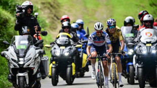 Cyclisme: Alaphilippe confirme qu'il ne participera pas au Tour cette ann&eacute;e
