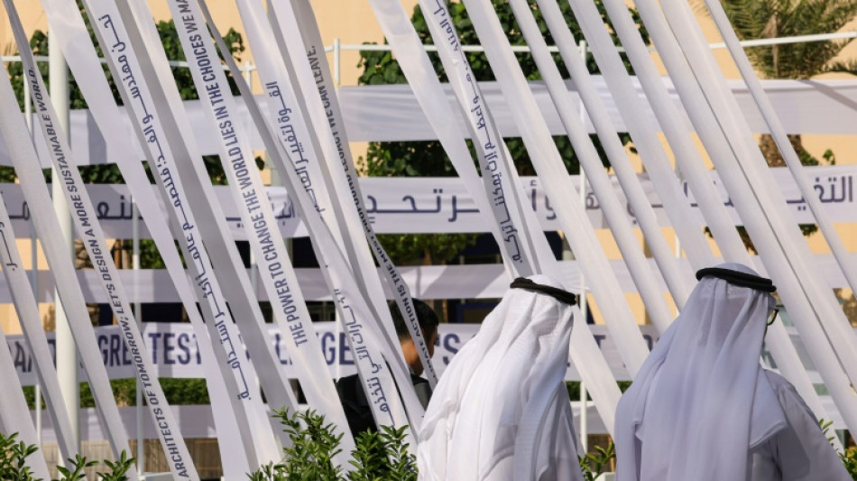 Arabia Saudita, l&iacute;der de los pa&iacute;ses &aacute;rabes en la COP28 pese a algunas divergencias