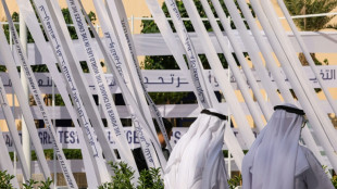 Arabia Saudita, l&iacute;der de los pa&iacute;ses &aacute;rabes en la COP28 pese a algunas divergencias
