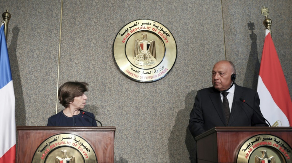 Egypt, France foreign ministers urge aid to Gaza through Rafah