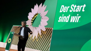 Gr&uuml;ne setzen Parteitag mit Vorstandswahl und inhaltlichen Debatten fort