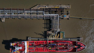 Trump sull'Iran accende il prezzo del petrolio, +6,3% Wti a 74,9 dollari