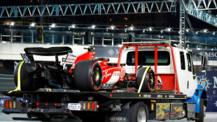 F1: les premiers essais libres &agrave; Las Vegas arr&ecirc;t&eacute;s apr&egrave;s 10 minutes