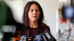 Baerbock und Cameron rufen in Israel zu Zur&uuml;ckhaltung auf