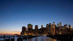 Visas a USD 100.000, un riesgo para el sector financiero de Nueva York