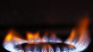 Il gas apre in ribasso sul mercato di Amsterdam (-0,9%)