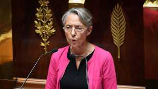 Devant le Parlement, l'appel au "compromis" d'Elisabeth Borne face &agrave; la d&eacute;fiance des oppositions