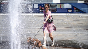 Pasqua, 2,1 milioni di italiani in viaggio con il proprio animale domestico