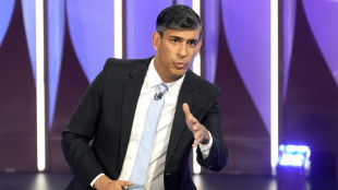 Elections britanniques: soup&ccedil;ons de paris frauduleux au sein des Conservateurs