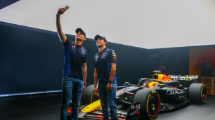 La F1 reprend la piste &agrave; Bahre&iuml;n pour ses essais hivernaux, les yeux riv&eacute;s sur Red Bull