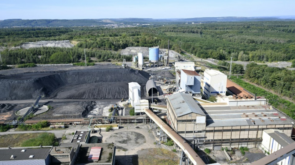 Saint-Avold: l'Assemblée approuve définitivement la conversion de la centrale