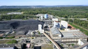 Saint-Avold: l'Assemblée approuve définitivement la conversion de la centrale