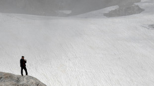 Komiker Wigald Boning will in St&ouml;ckelschuhen auf die Zugspitze