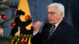 El presidente alem&aacute;n llama a la unidad tras el ataque contra un mercado de Navidad en Magdeburgo