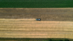 Umweltverb&auml;nde fordern Schutz von Brachfl&auml;chen in der Agrarlandschaft