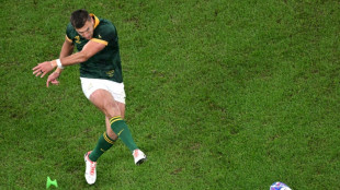 Mondial-2023: Pollard, l'atout ma&icirc;tre des Springboks