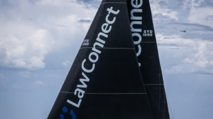 Voile/Sydney-Hobart: Andoo Comanche et LawConnect au coude &agrave; coude 