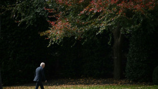 US-Pr&auml;sidentschaftswahl: Biden und Harris gratulieren Trump zum Wahlsieg
