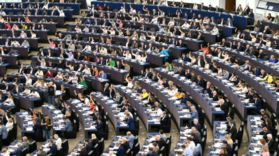 Feu vert des eurod&eacute;put&eacute;s &agrave; une loi sur la libert&eacute; des m&eacute;dias