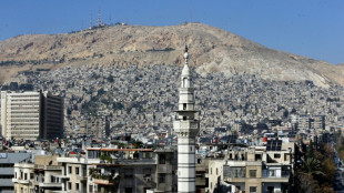 Comandos yihadistas del EI matan al menos a 14 combatientes prorr&eacute;gimen en Siria