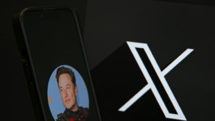 Emoi en Allemagne apr&egrave;s un soutien appuy&eacute; de Musk &agrave; l'extr&ecirc;me droite