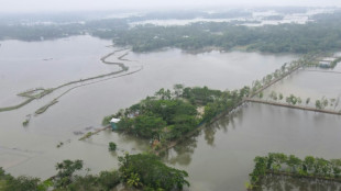Au Bangladesh, le cyclone Remal a mis en danger l'habitat des tigres du Bengale