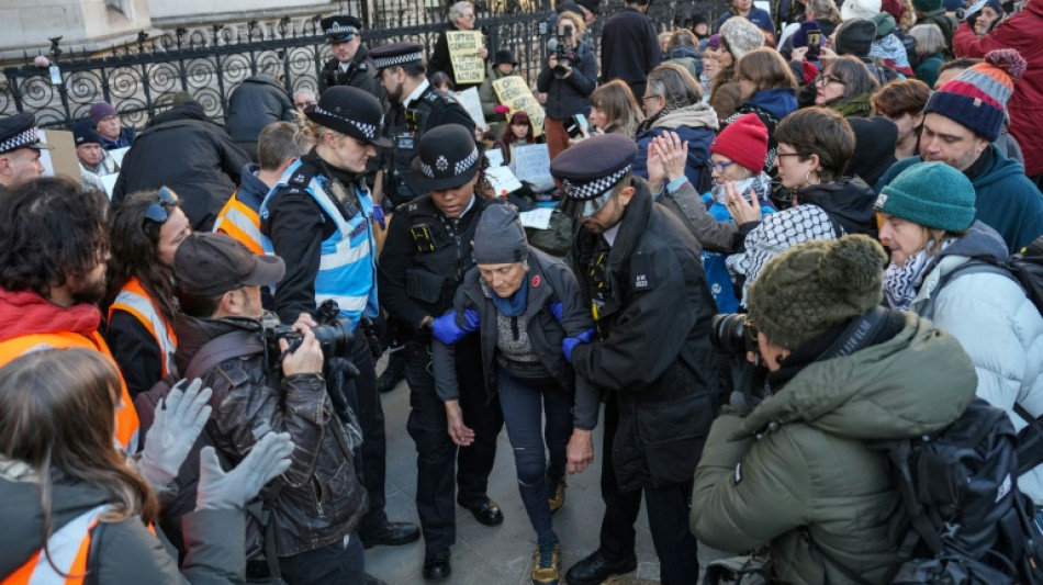 Un tribunal brit&aacute;nico da la raz&oacute;n a un grupo propalestino que recurri&oacute; tras ser declarado terrorista