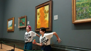 Just Stop Oil activist group says to stop climate protest stunts