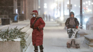 Plus de 200 millions d'Am&eacute;ricains touch&eacute;s par une temp&ecirc;te &agrave; l'avant-veille de No&euml;l