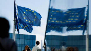 Zone euro: premier recul de l'inflation en 17 mois, &agrave; 10% en novembre